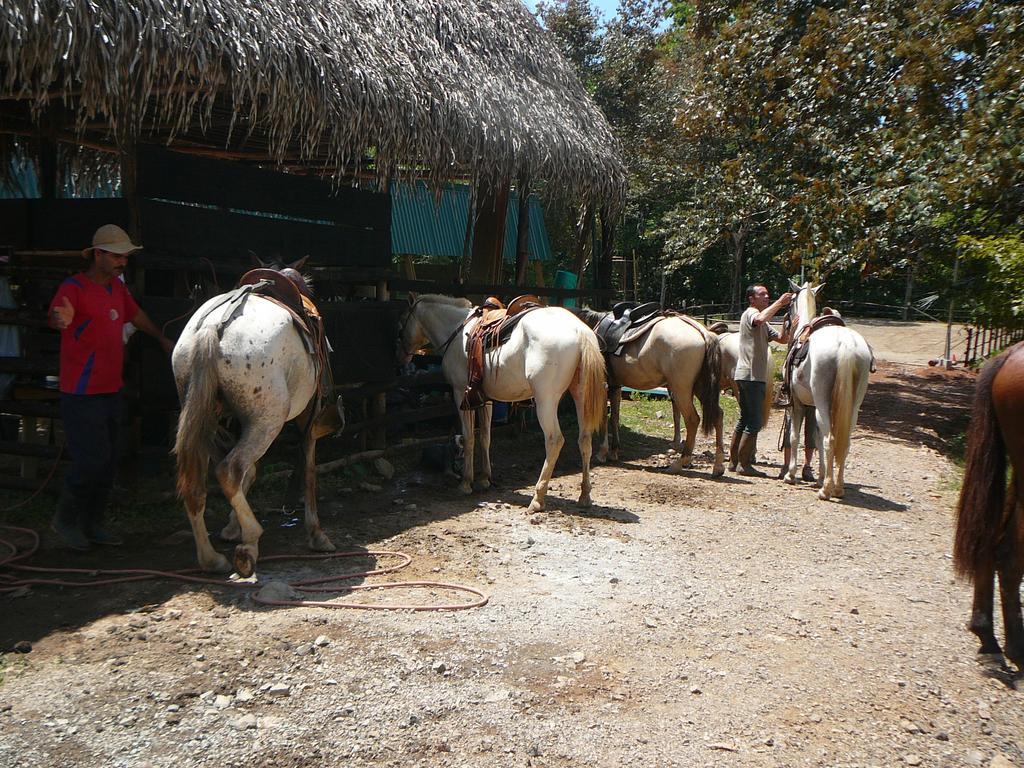 Casas Buenas Brisas Villa Ojochal Room photo